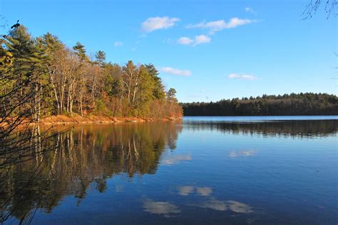 walden pond twitter|walden pond twitter today.